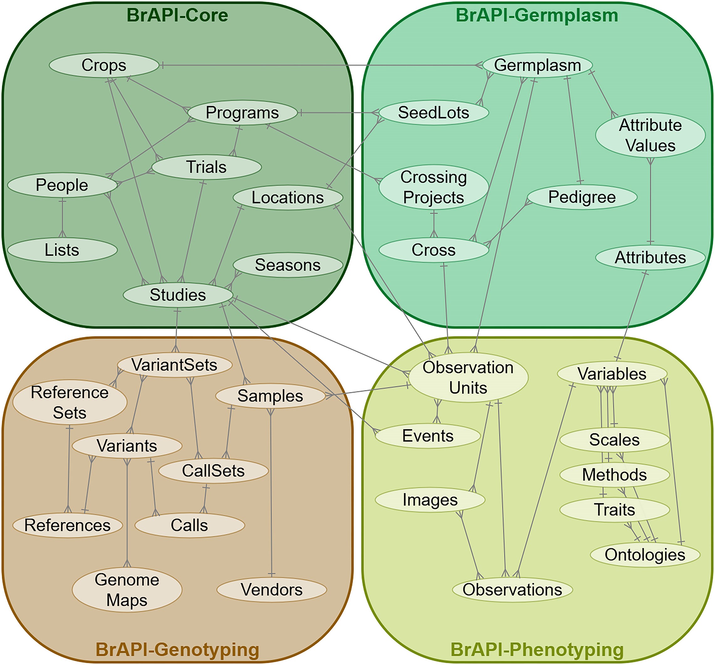BrAPI v2: real-world applications for data integration and collaboration in the breeding and genetics community