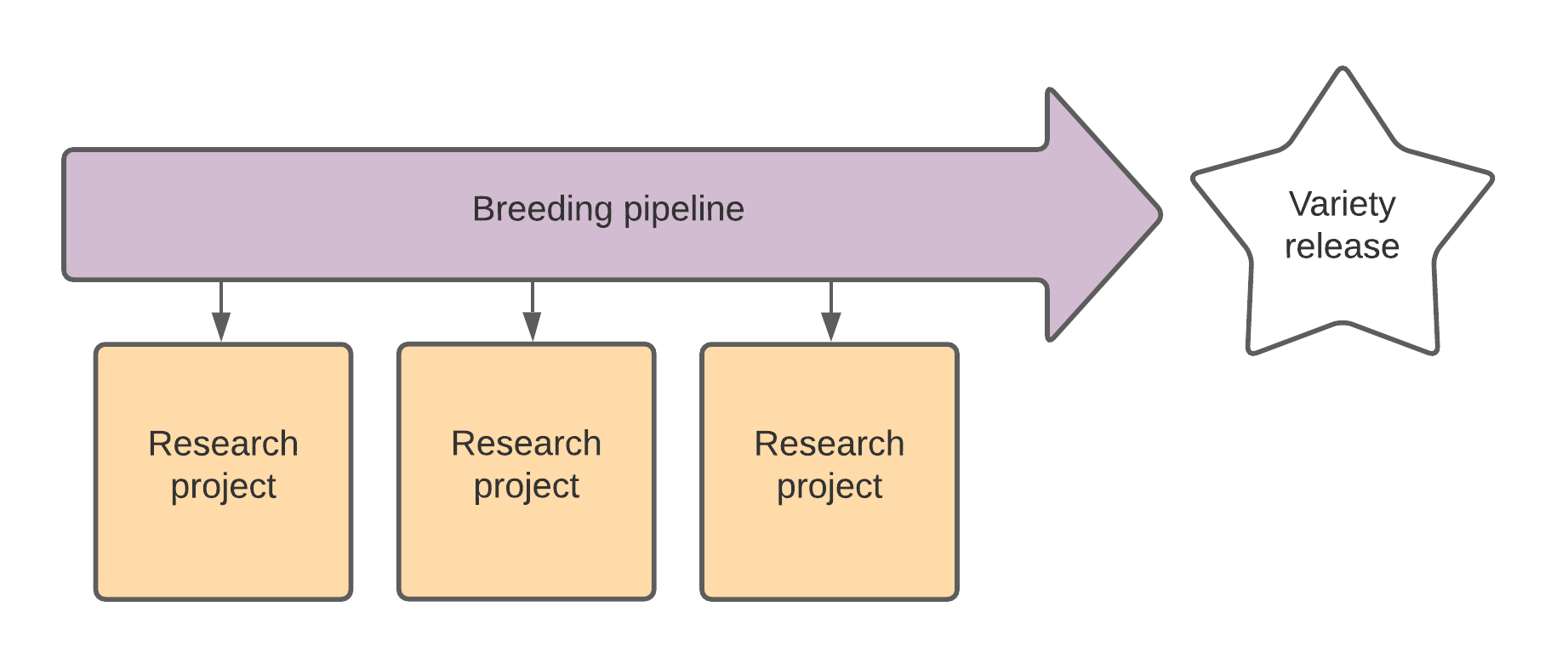 Research projects further the breeding process