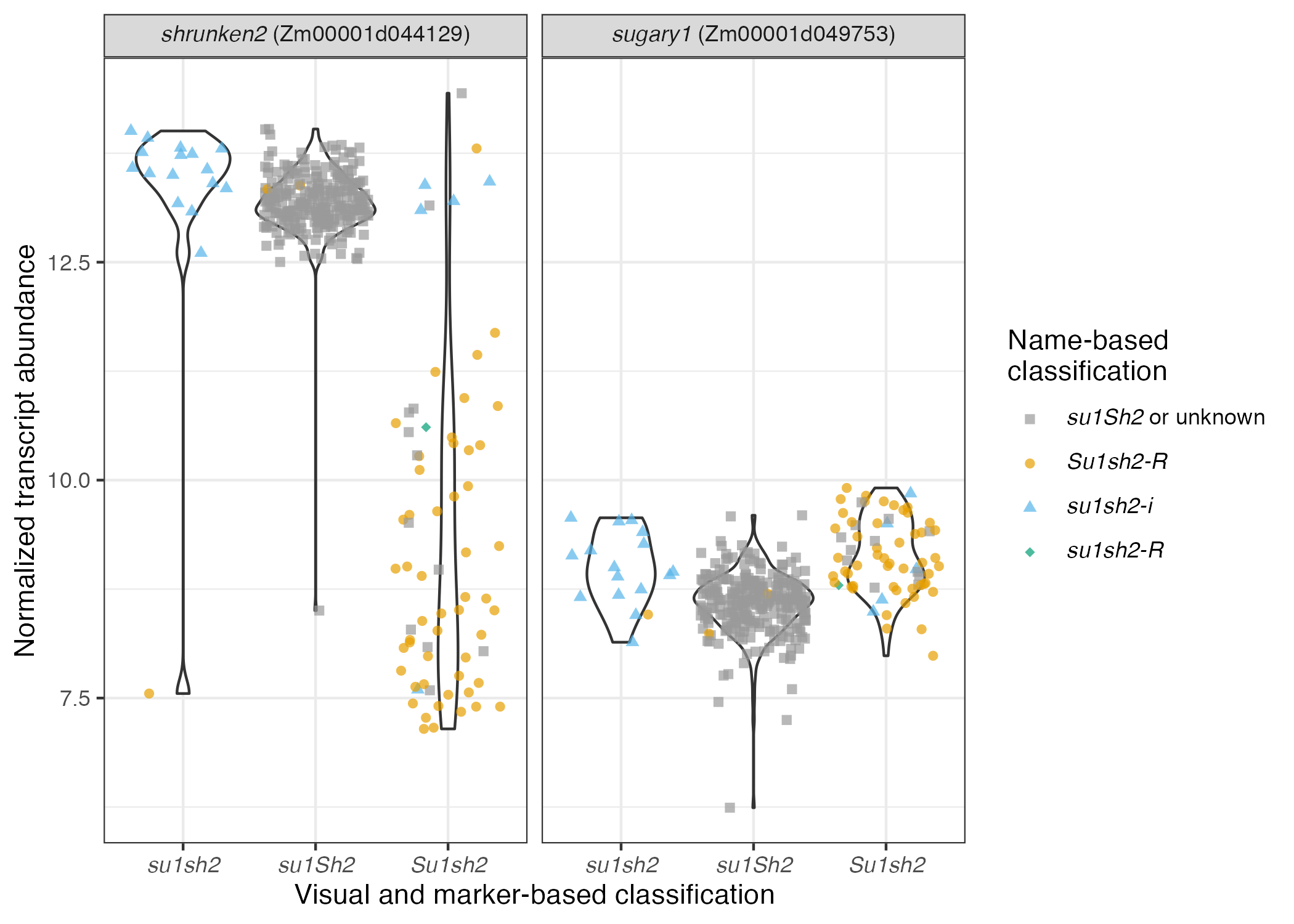 Transcriptome‐wide association and prediction for carotenoids and tocochromanols in fresh sweet corn kernels